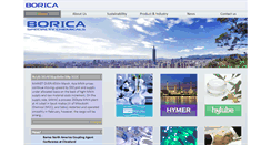 Desktop Screenshot of borica.com